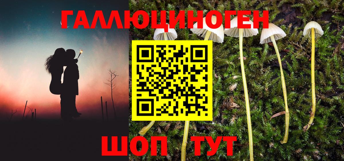 Новоалександровск  Псилоцибиновые грибы мицелий  магазин продажи наркотиков  Вход с VPN 