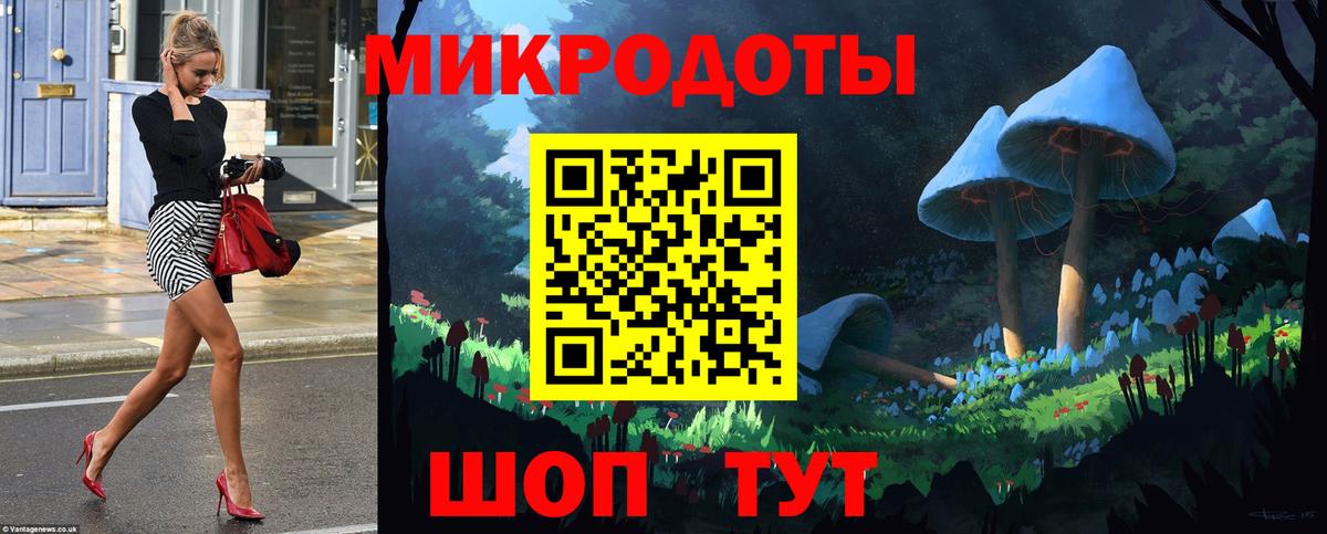 Галлюциногенные грибы ЛСД Новоалександровск
